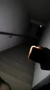 海棠书